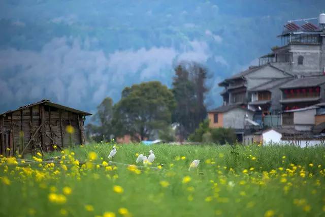 山居秋暝民宿，在大龍井古鎮(zhèn)體驗(yàn)民族文化