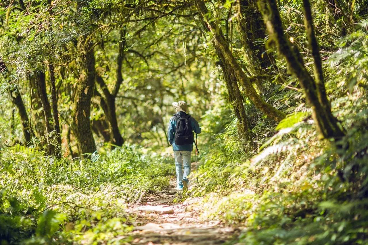 山居秋暝民宿，在大龍井古鎮(zhèn)體驗(yàn)民族文化