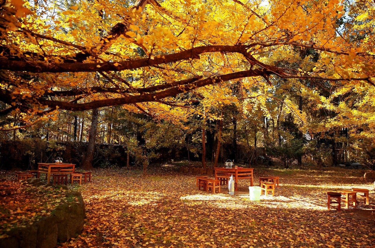 山居秋暝民宿，在大龍井古鎮(zhèn)體驗民族文化