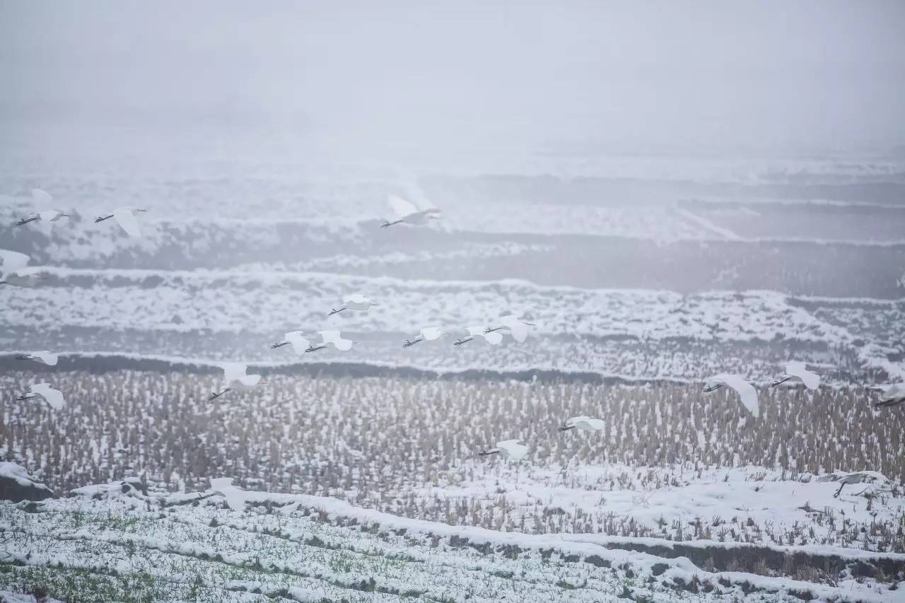 山居秋暝民宿，在大龍井古鎮(zhèn)體驗民族文化