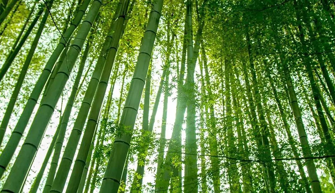 荒無舍民宿，山腳下日出而作日落而息