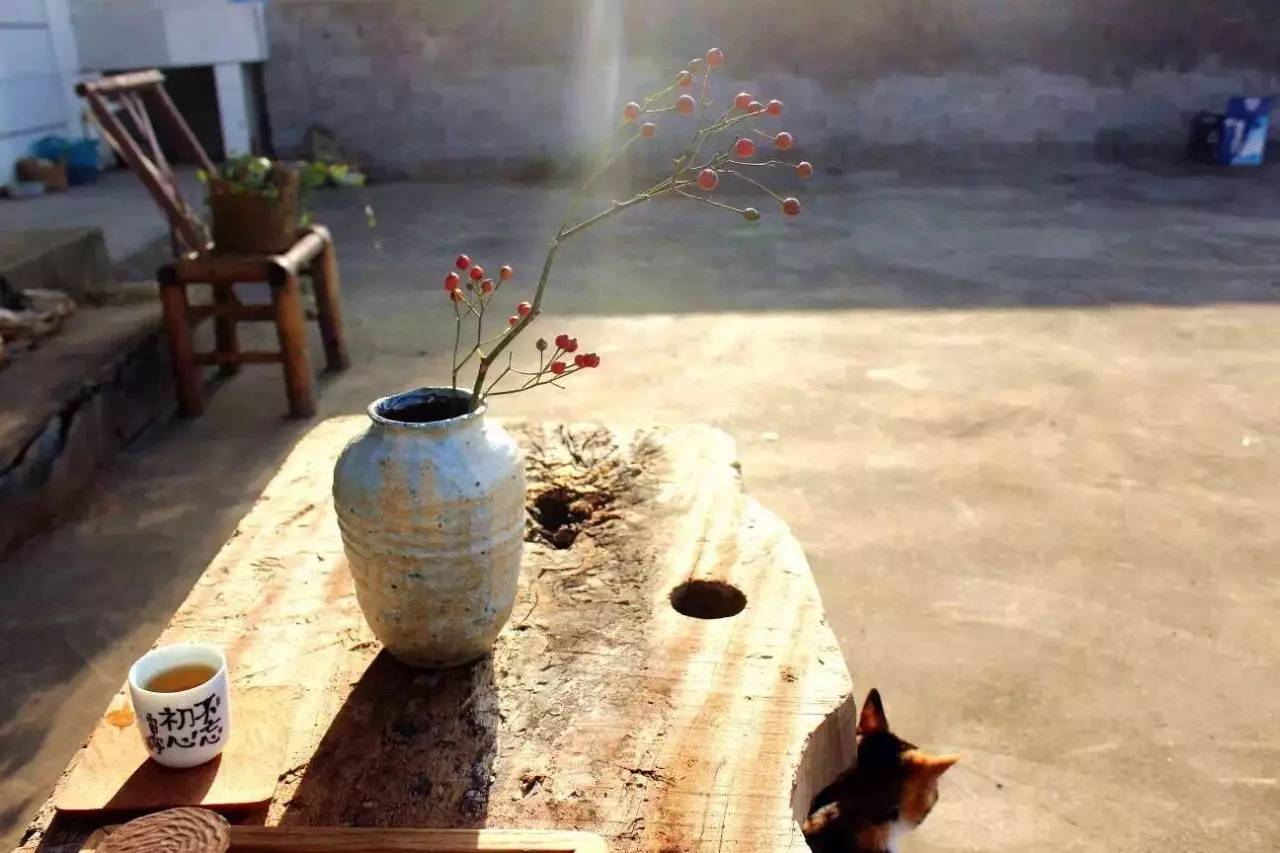 荒無(wú)舍民宿，山腳下日出而作日落而息