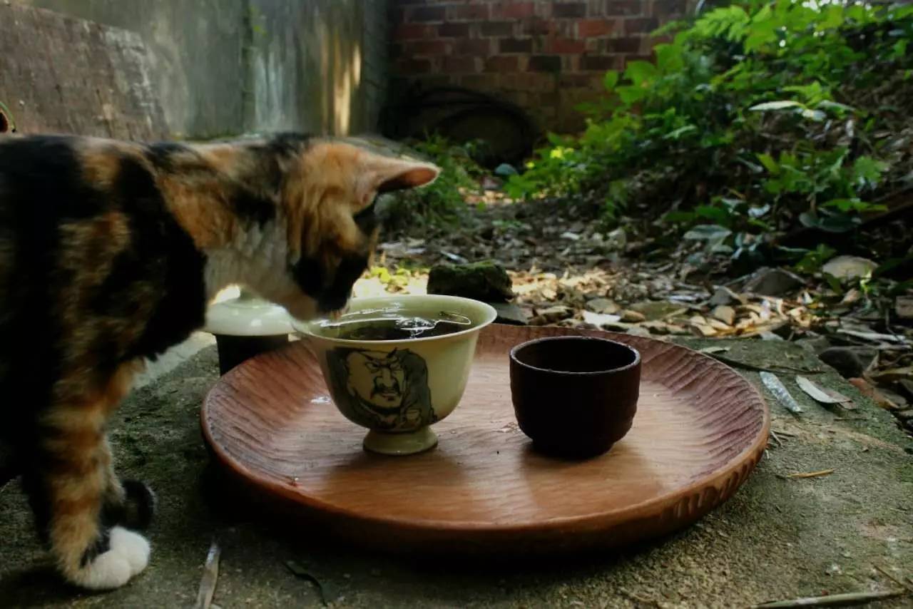 荒無舍民宿，山腳下日出而作日落而息
