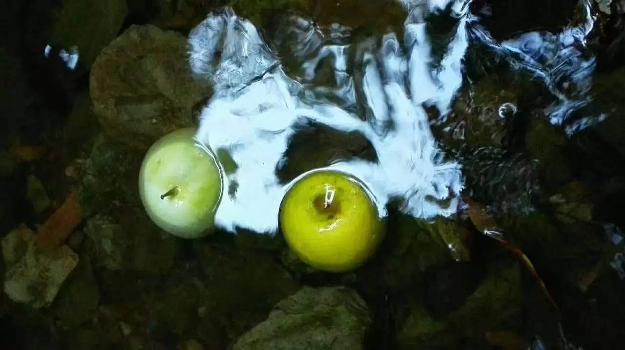 荒無舍民宿，山腳下日出而作日落而息