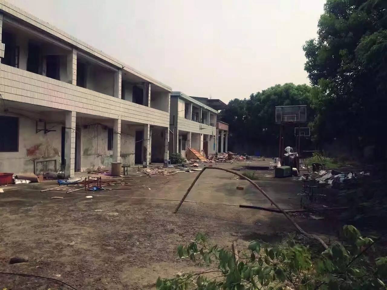 上海四舍，遠(yuǎn)離城市溫暖自由靈魂的世外江湖