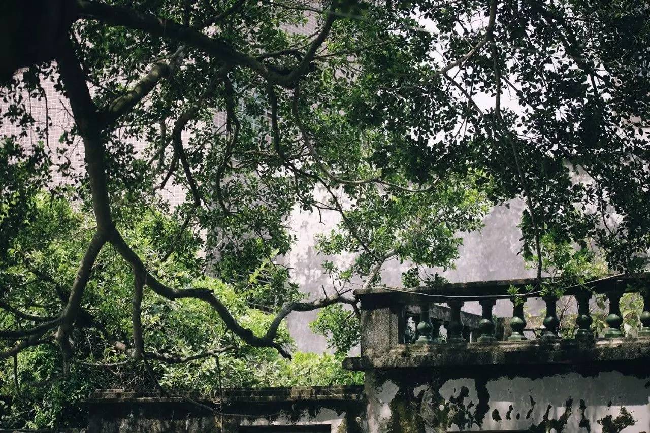 悠居·三朝舍民宿，帶你吃喝玩轉(zhuǎn)南澳島