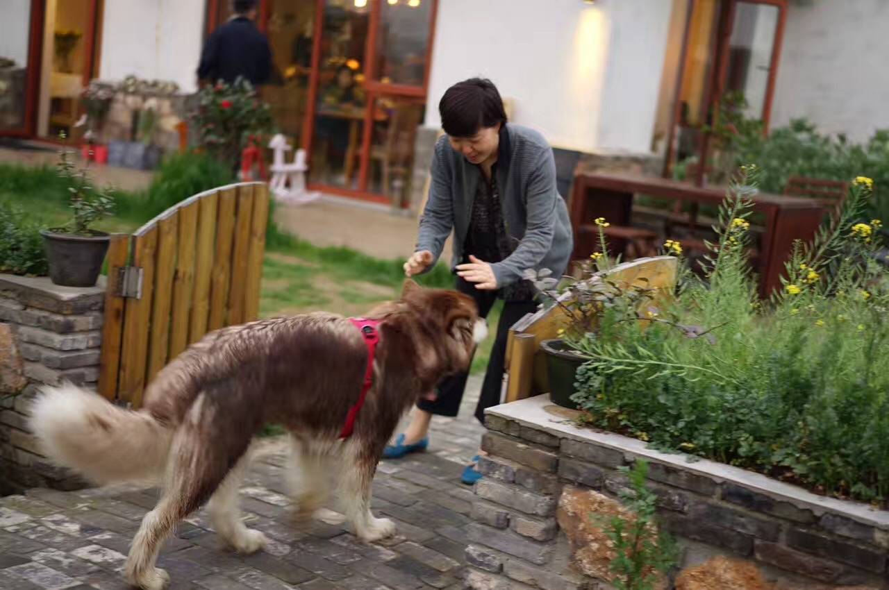 在小筑沐野民宿，不被年齡定義和束縛活出自己