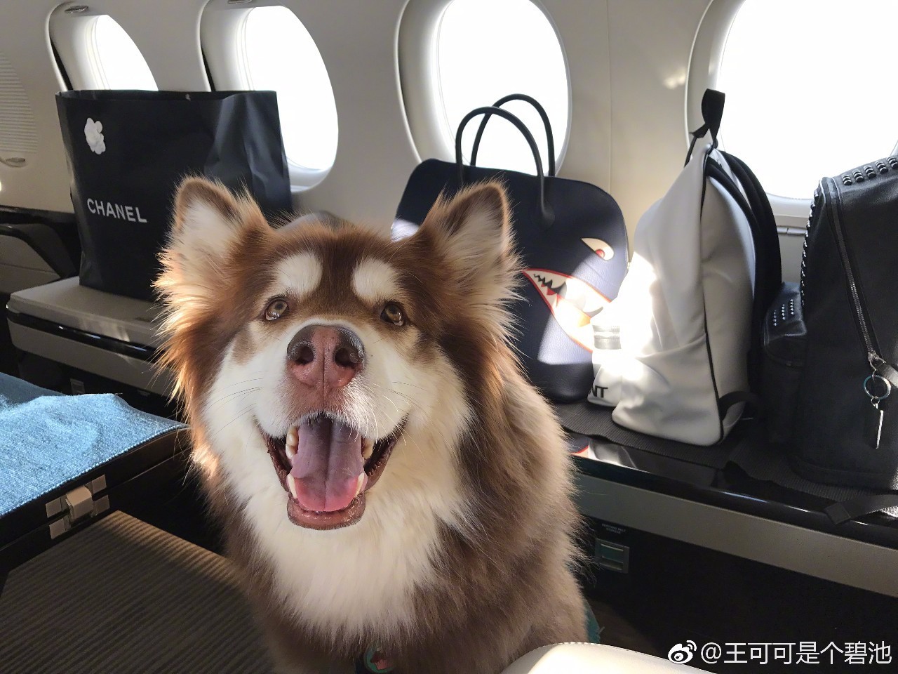 在小筑沐野民宿，不被年齡定義和束縛活出自己