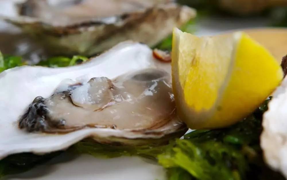 蘇東坡最能吃，舌尖上的中國美食