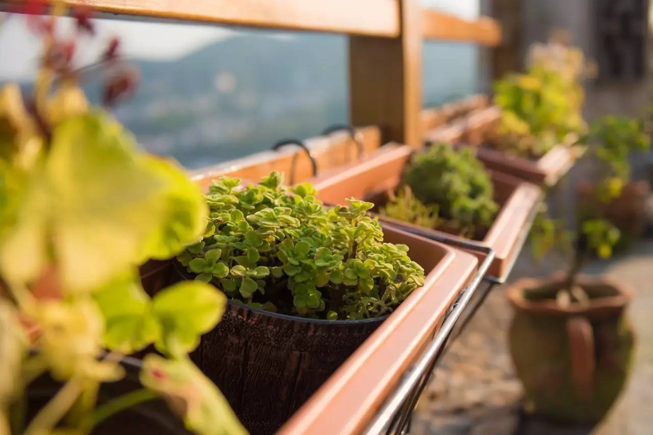 靜沁苑民宿，在海角一隅取一絲寧靜沁潤心田