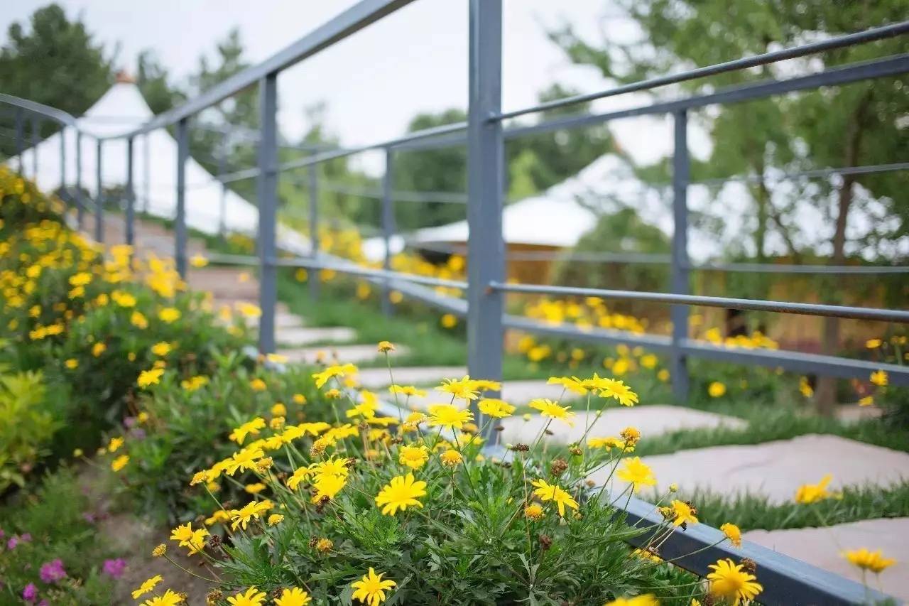 淼兮民宿，在天水一方尋找最寧靜的心