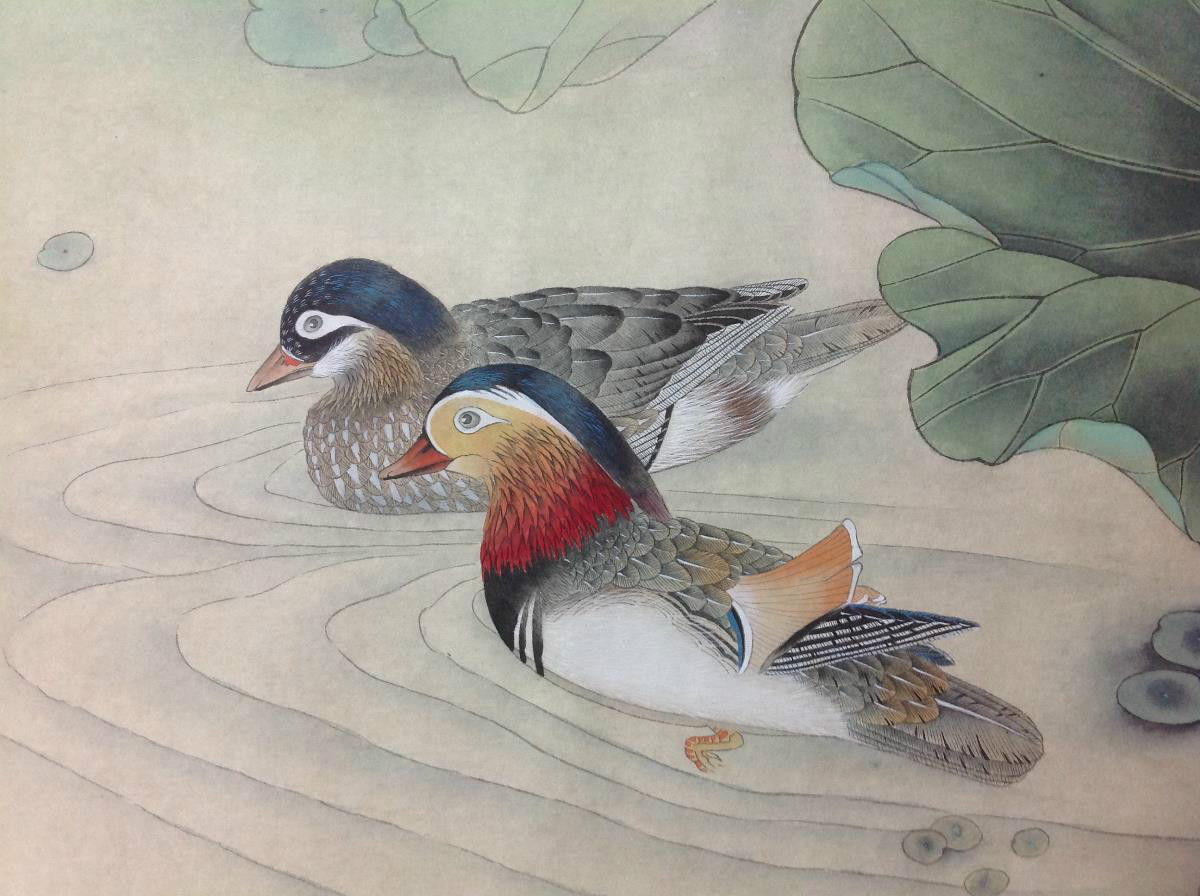 國(guó)畫荷花，鴛鴦戲水