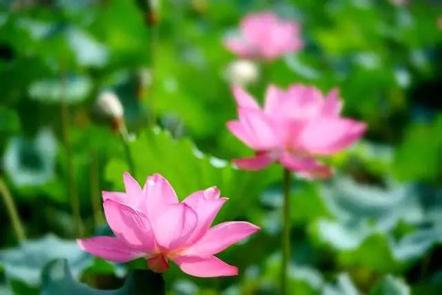 太湖邊壹灣別院民宿，邀你穿越回民國