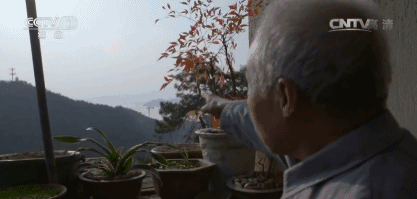 千島湖底水下古城，一筆一畫勾繪故鄉(xiāng)的情懷