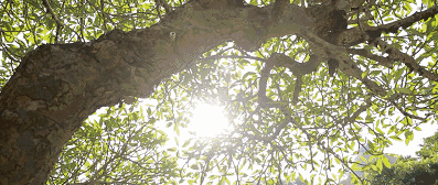 鼓浪嶼喜林閣民宿，遇見心頭歡喜