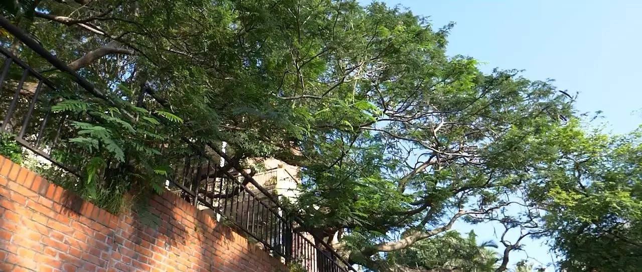 鼓浪嶼喜林閣民宿，遇見(jiàn)心頭歡喜