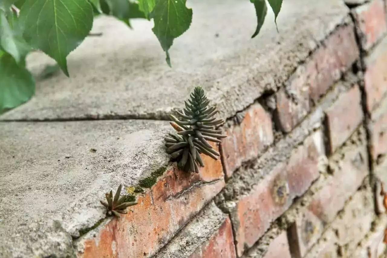 北京延慶畫框里，置身一幅山水長卷妙不可言