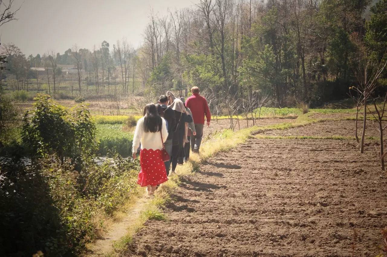 大理既下山，天光云影共徘徊