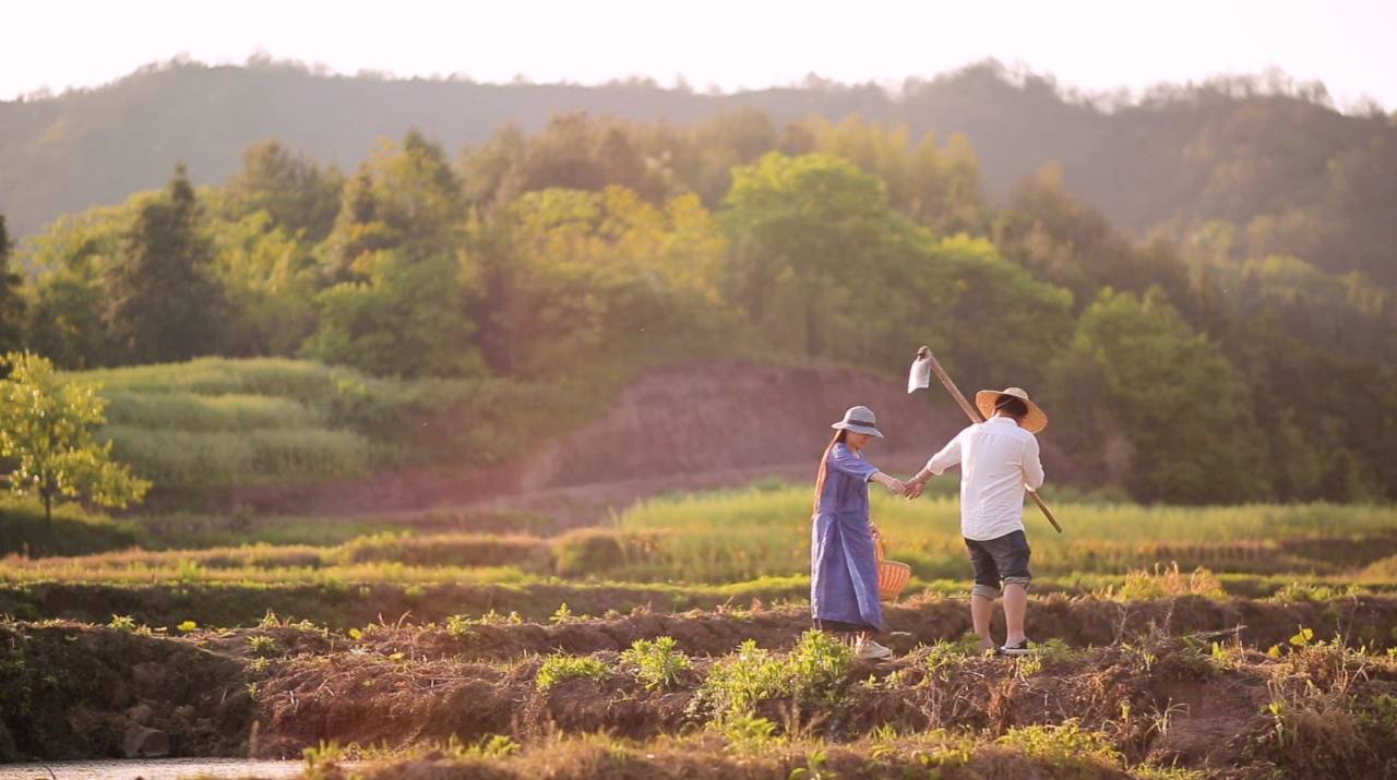新安江畔谷掌民宿，莊園里享受青山環(huán)繞的美景