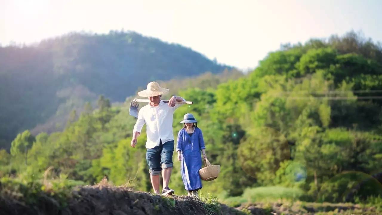 新安江畔谷掌民宿，莊園里享受青山環(huán)繞的美景
