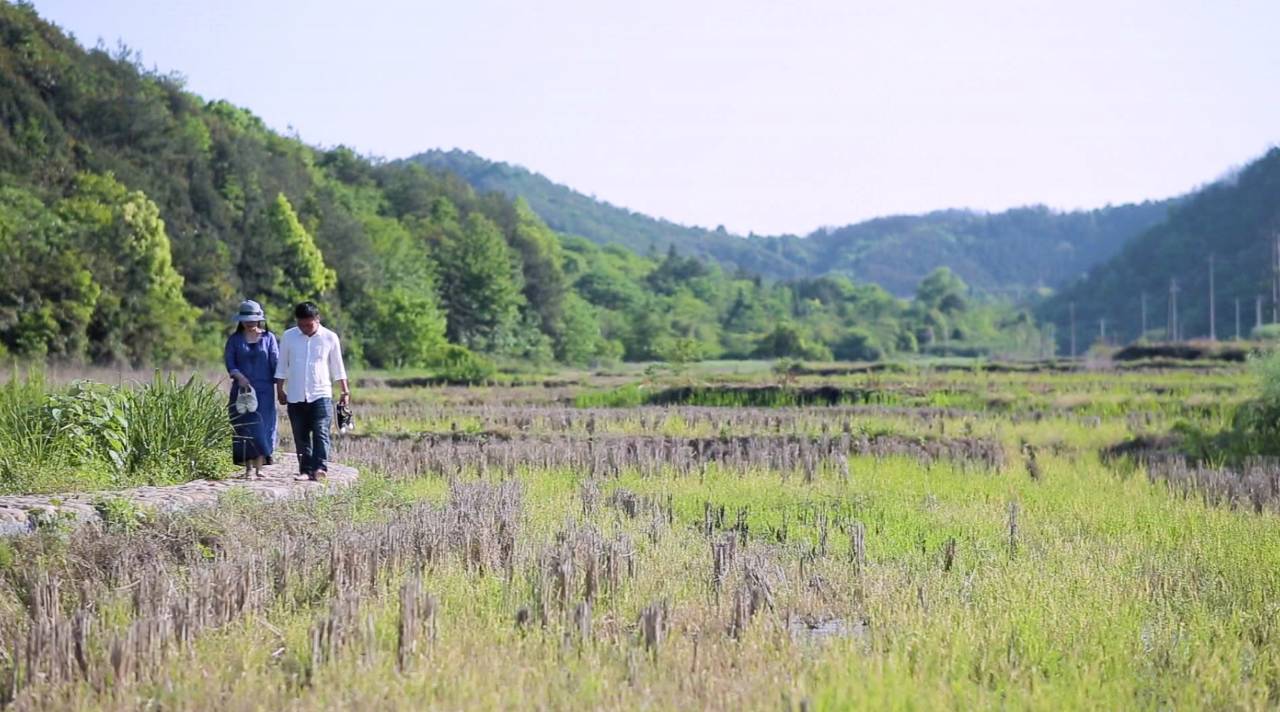 新安江畔谷掌民宿，莊園里享受青山環(huán)繞的美景