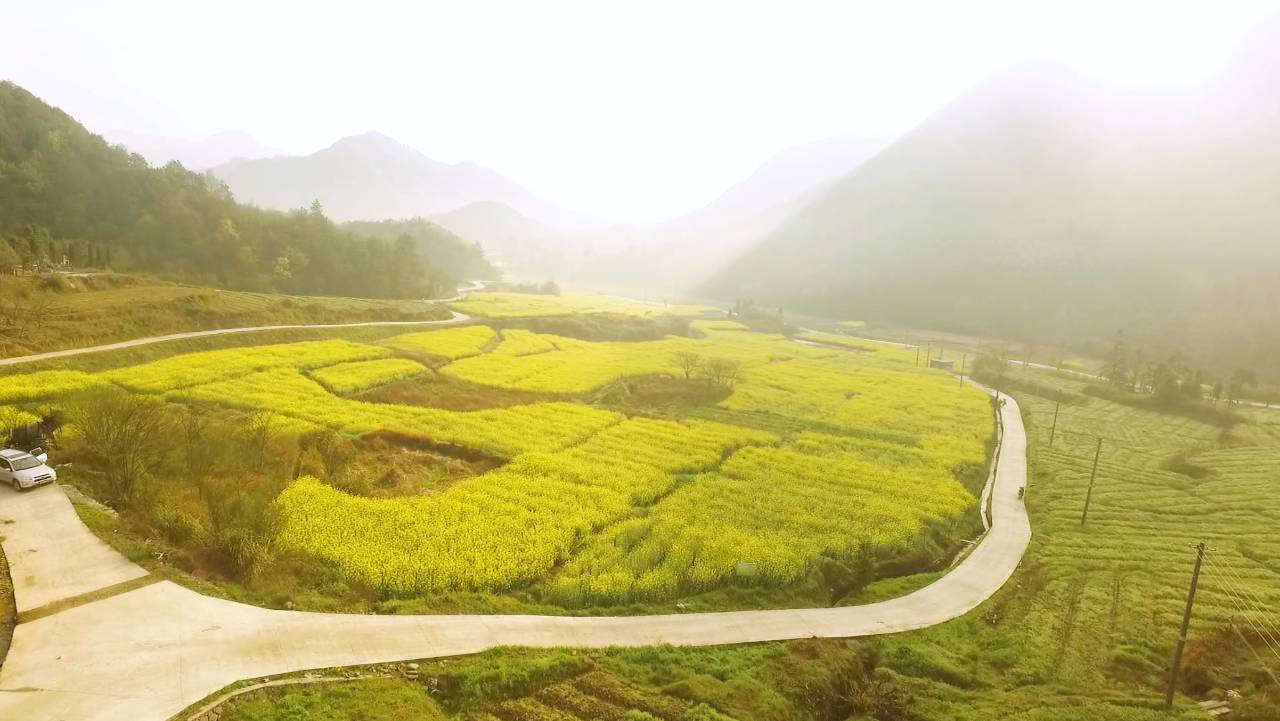 新安江畔谷掌民宿，莊園里享受青山環(huán)繞的美景