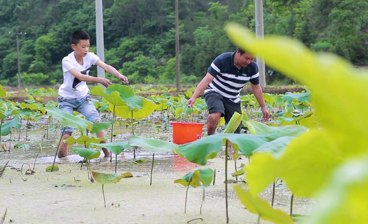 新安江畔谷掌民宿，莊園里享受青山環(huán)繞的美景