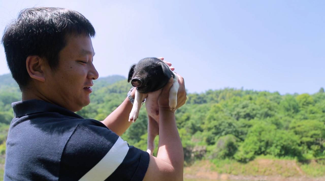 新安江畔谷掌民宿，莊園里享受青山環(huán)繞的美景