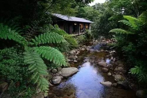客堂間莫干山民宿，隱居深山聆聽自然