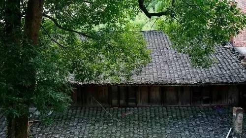 客堂間莫干山民宿，隱居深山聆聽自然