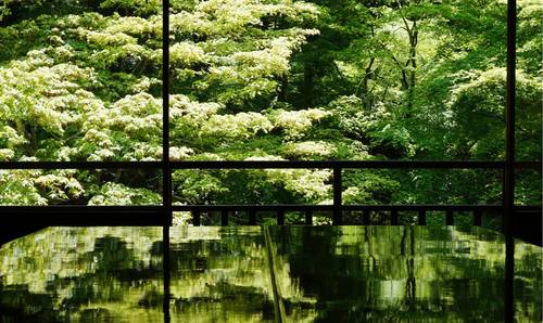 客堂間莫干山民宿，隱居深山聆聽自然