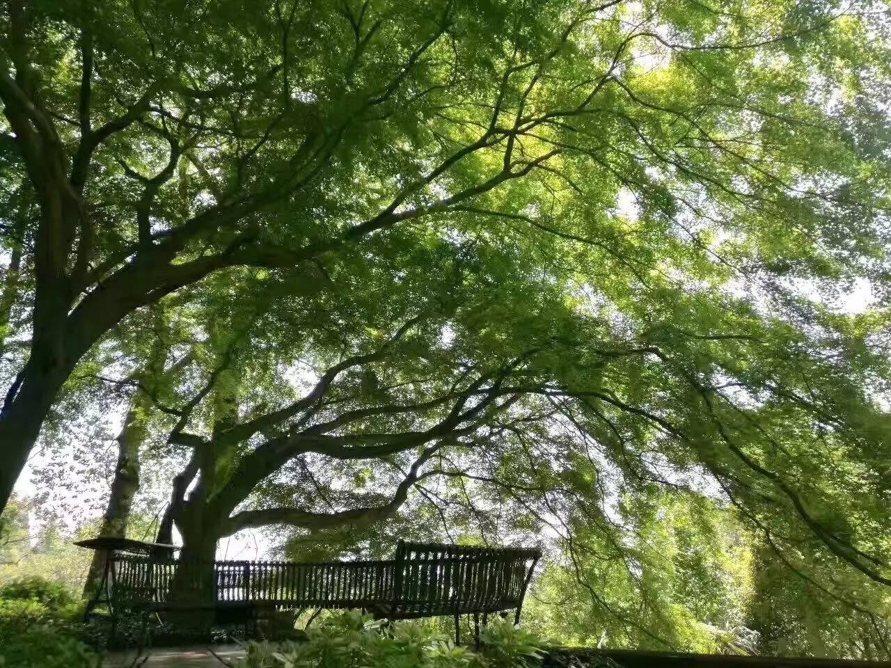 忘山別墅莫干山民宿，一棟百年歷史的民國別墅