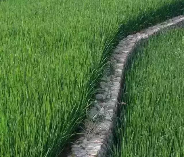 九華山德懋堂，九華山間打坐冥想清涼入心