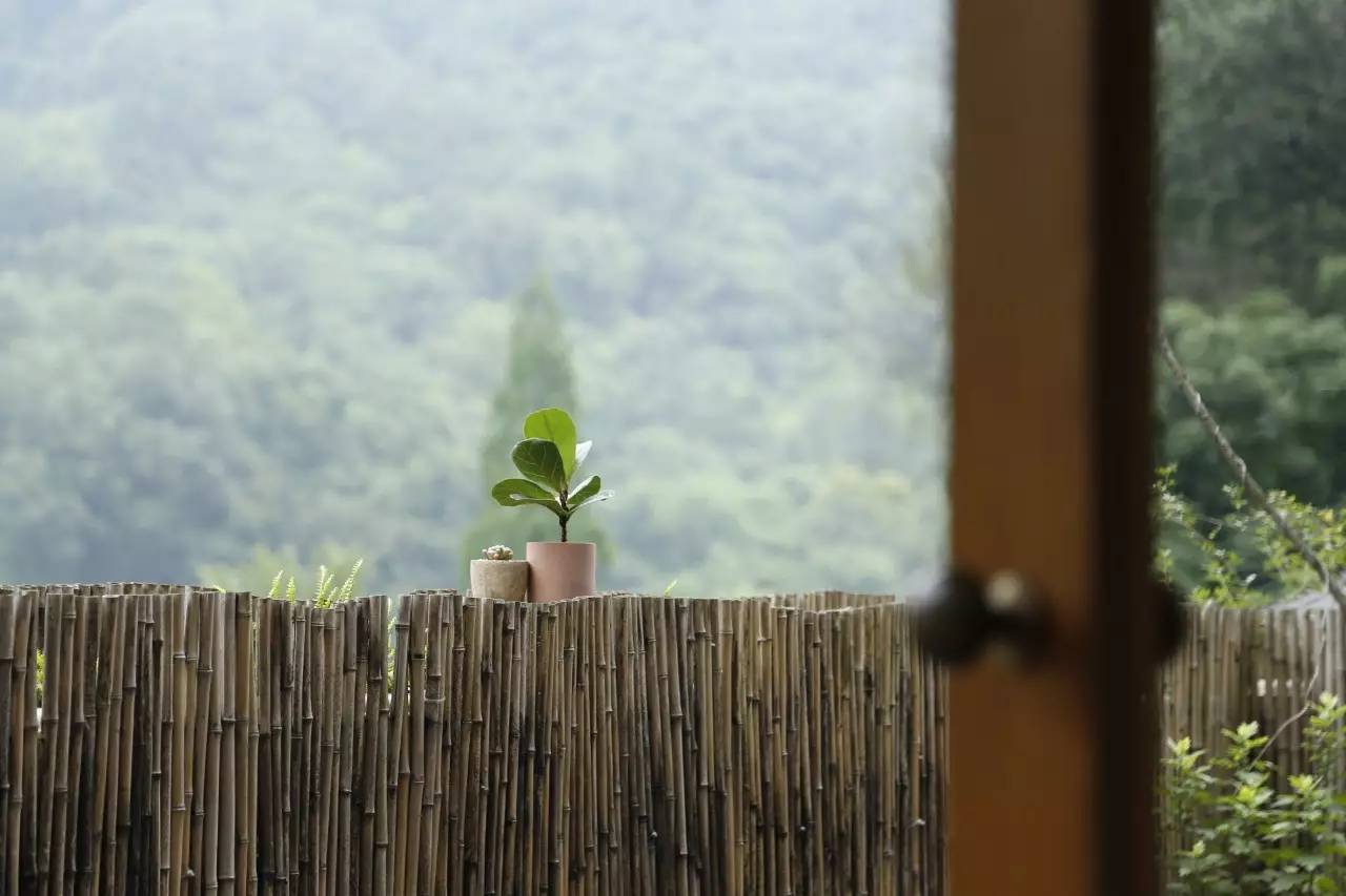 杭州山舍民宿，喝一壺茶聞桂花十里飄香