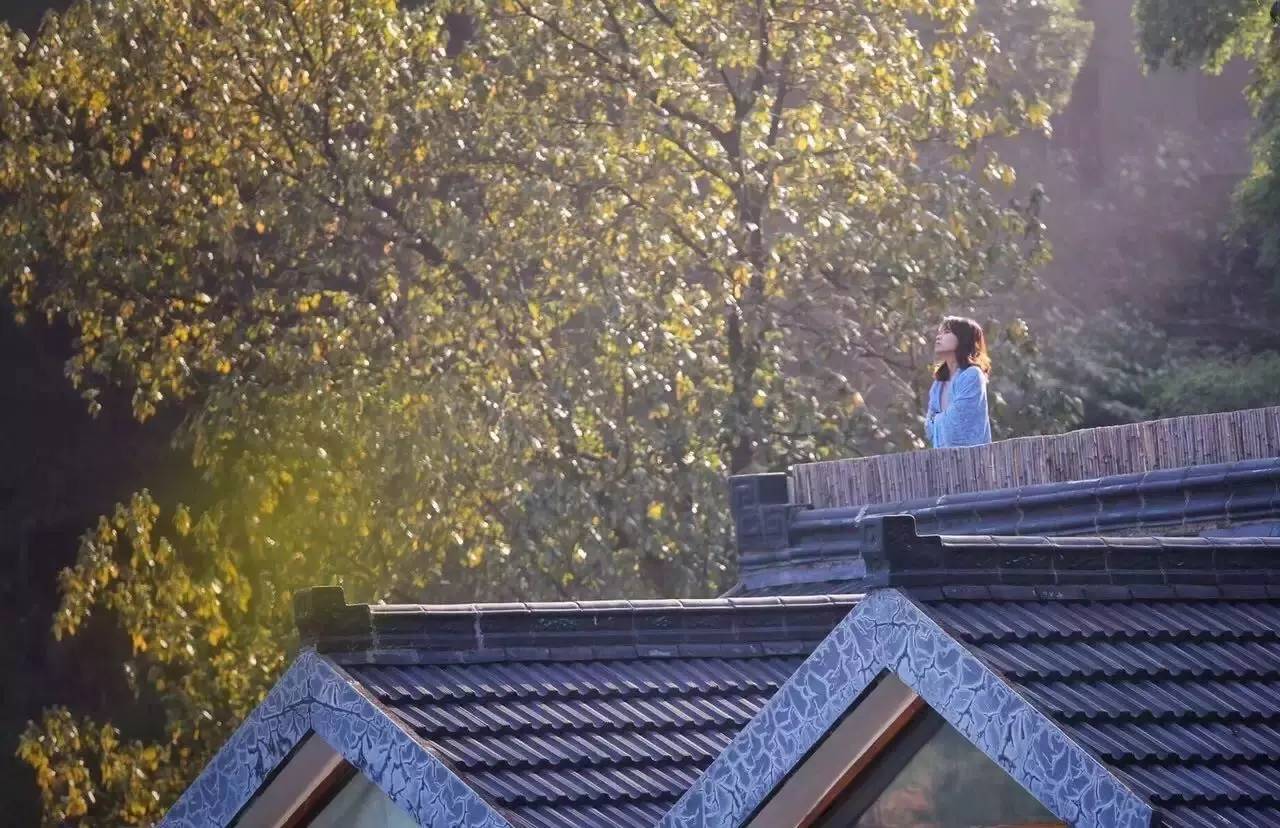 杭州山舍民宿，喝一壺茶聞桂花十里飄香