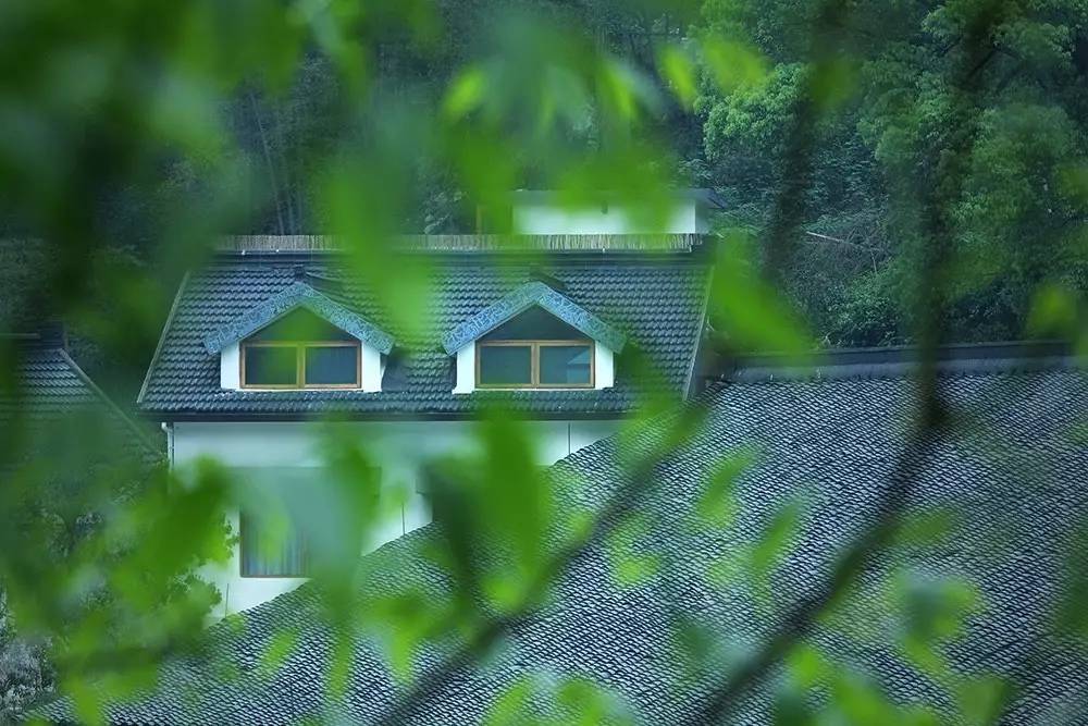 杭州山舍民宿，喝一壺茶聞桂花十里飄香