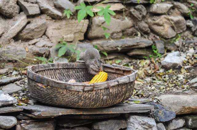 北京姥姥家民宿，聽(tīng)故事感受自在的心靈時(shí)光