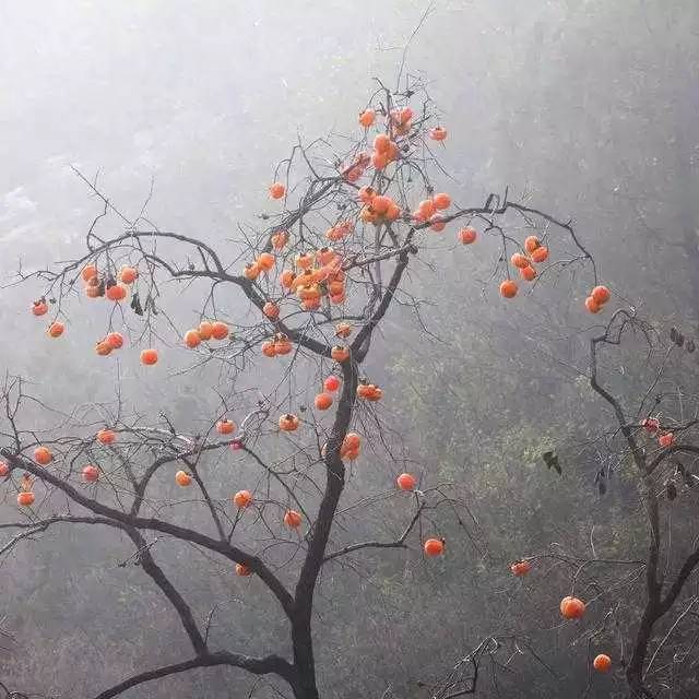 北京姥姥家民宿，聽(tīng)故事感受自在的心靈時(shí)光