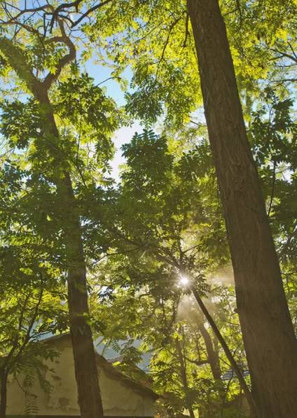 北京姥姥家民宿，聽(tīng)故事感受自在的心靈時(shí)光