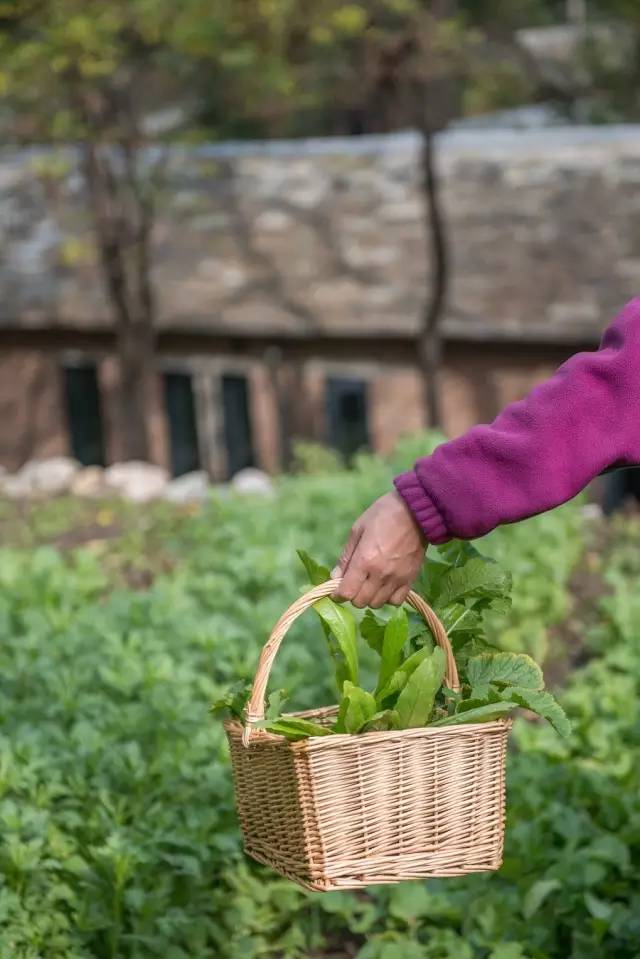 北京姥姥家民宿，聽故事感受自在的心靈時光