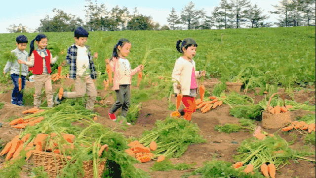 天堂山鄉(xiāng)愛(ài)樹(shù)民宿，古色古香的童話(huà)小鎮(zhèn)