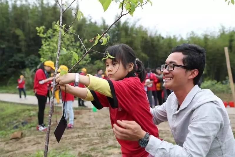 天堂山鄉(xiāng)愛樹民宿，古色古香的童話小鎮(zhèn)