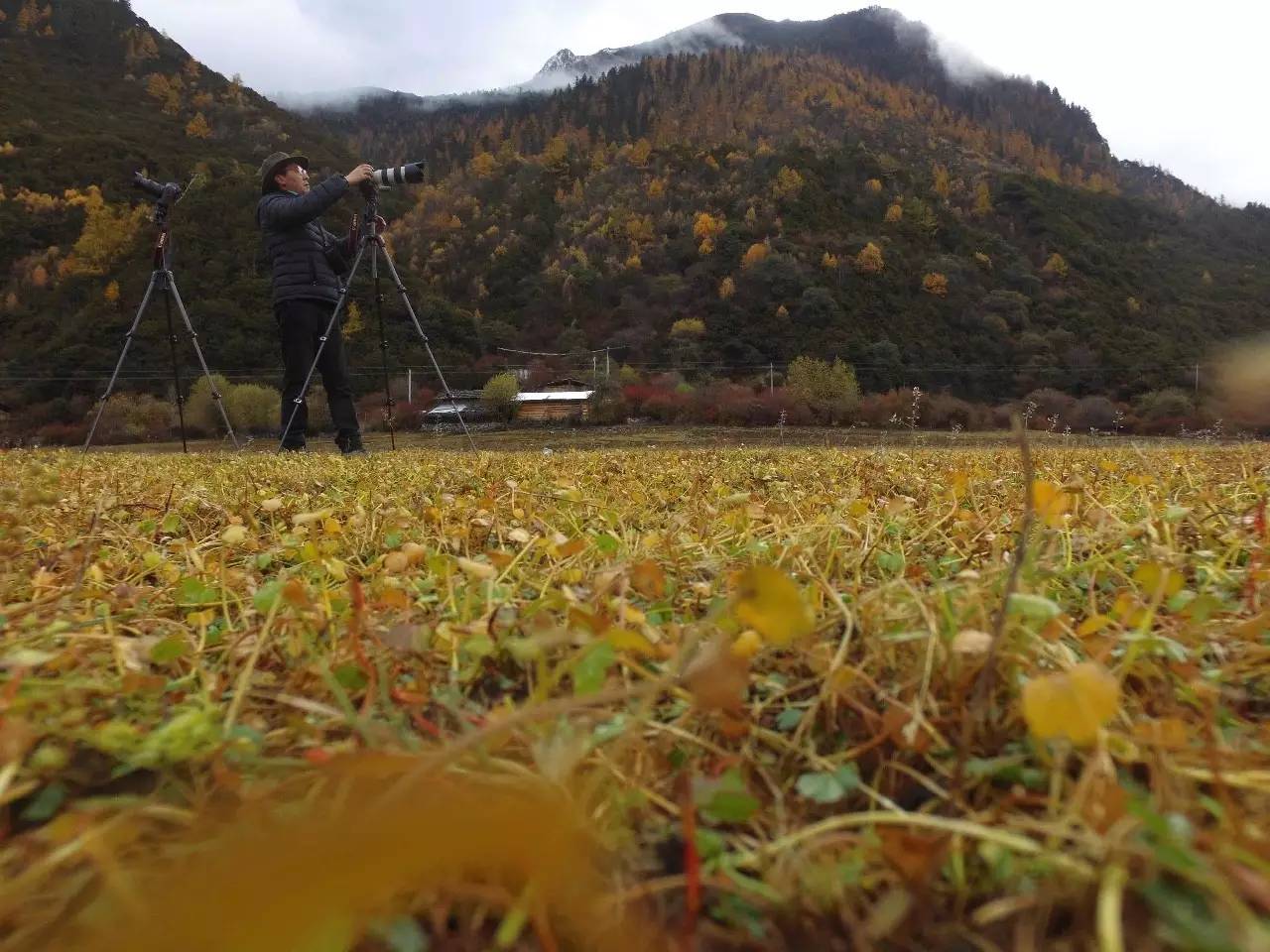 拉薩曲吉林卡，在世界之顛的圣城感受藏族文化