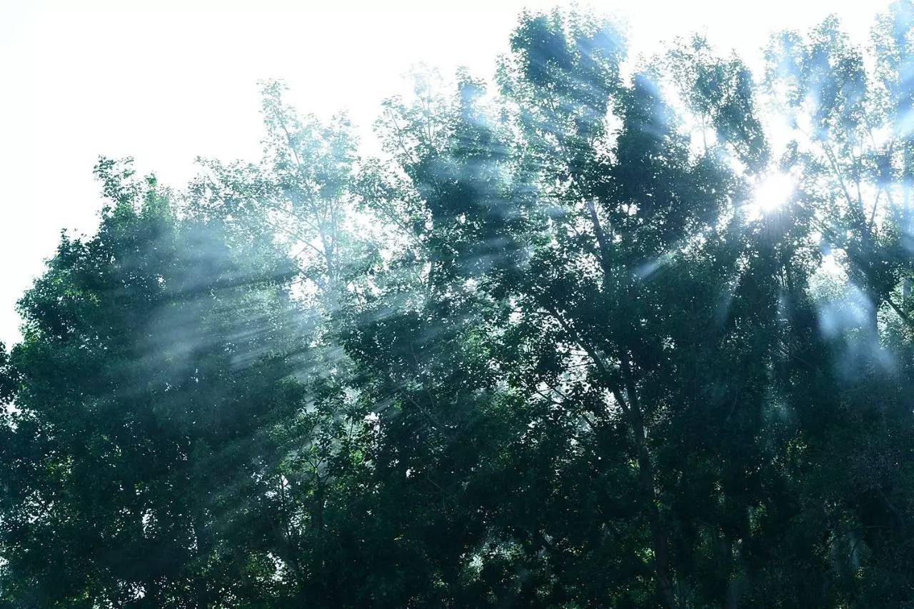 松贊拉薩曲吉林卡，用松贊的方式重走拉薩