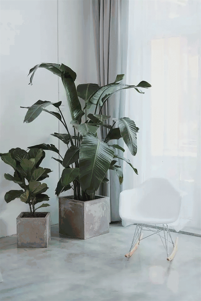 杭州一緒民宿，用鏡頭感受世間一切美好