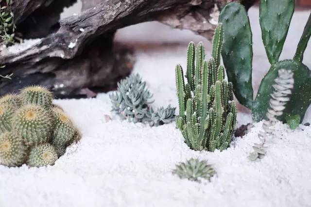 杭州一緒民宿，用鏡頭感受世間一切美好