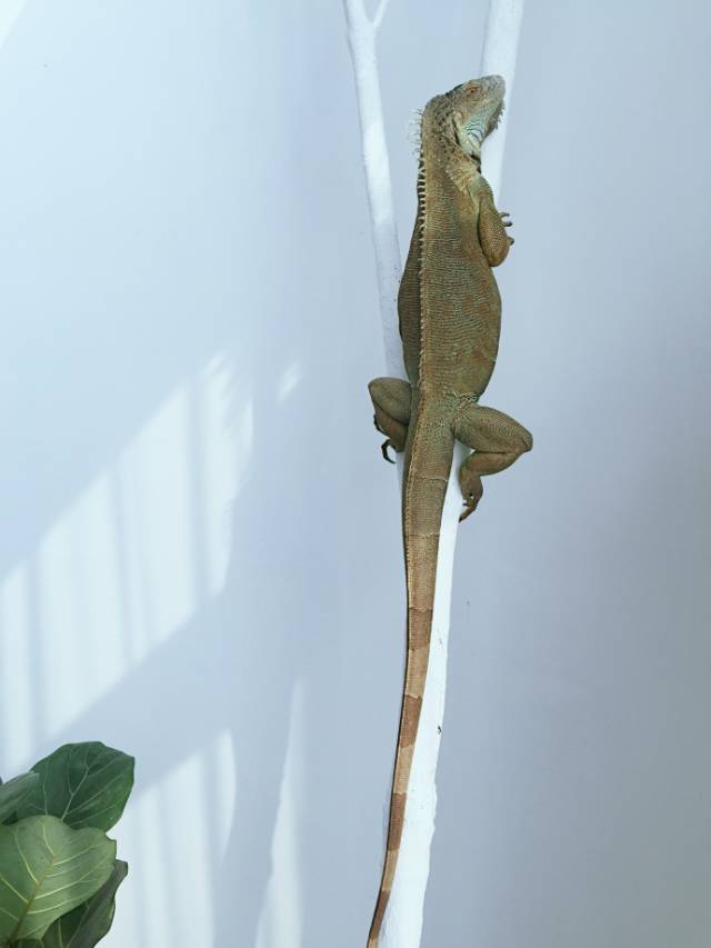 杭州一緒民宿，用鏡頭感受世間一切美好