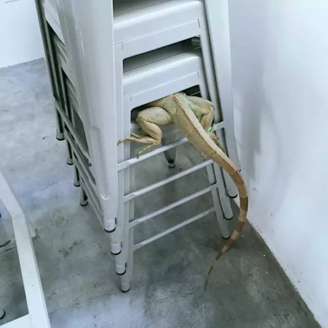 杭州一緒民宿，用鏡頭感受世間一切美好