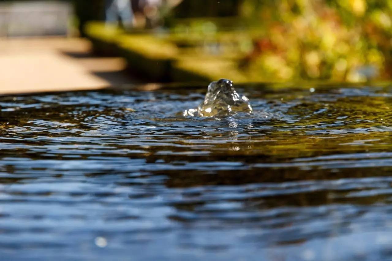 融居·銀箔泉，來銀箔泉邊喝茶看蒼山洱海