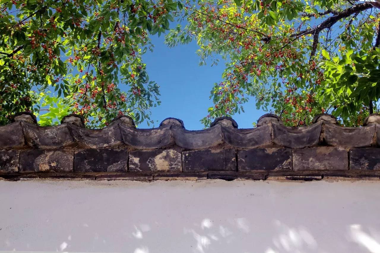 融居·銀箔泉，來(lái)銀箔泉邊喝茶看蒼山洱海